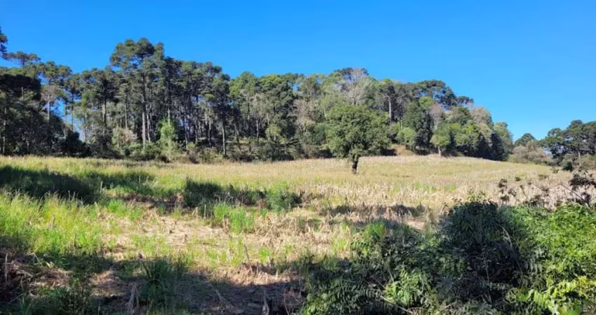 Terreno em condomínio fechado à venda na Avenquinha, Campo Alegre 