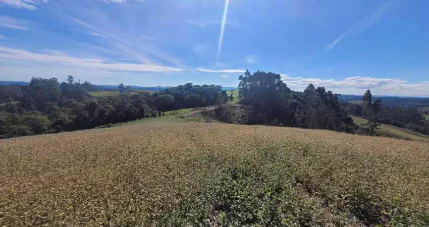 Terreno em condomínio fechado à venda no Bateias de Cima, Campo Alegre 