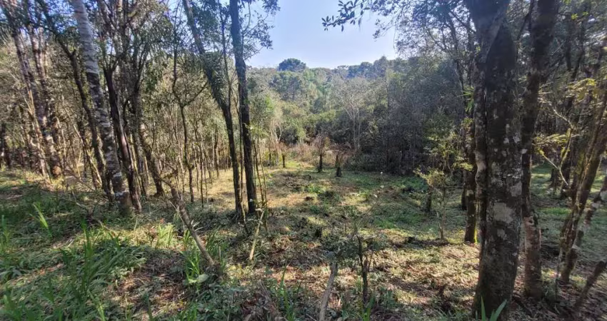 Terreno em condomínio fechado à venda na Zona Rural, Campo Alegre 