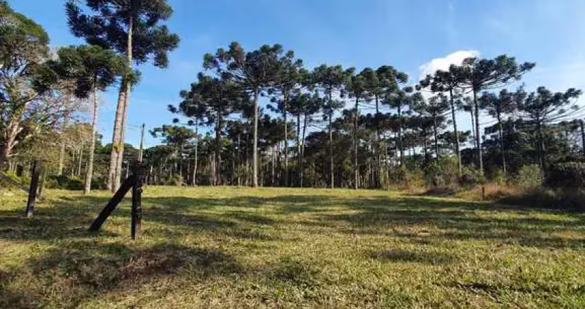 Terreno em condomínio fechado à venda no Rio Vermelho, Campo Alegre 