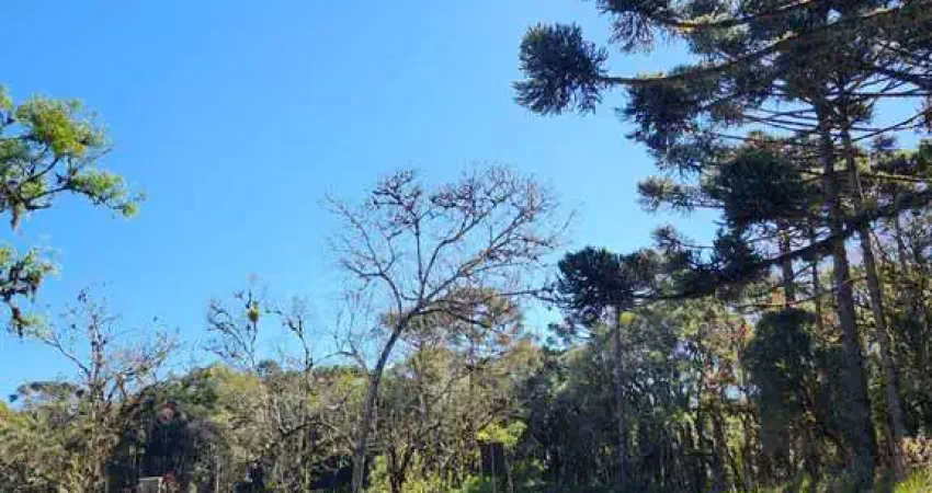 Terreno à venda no Saltinho, Campo Alegre 