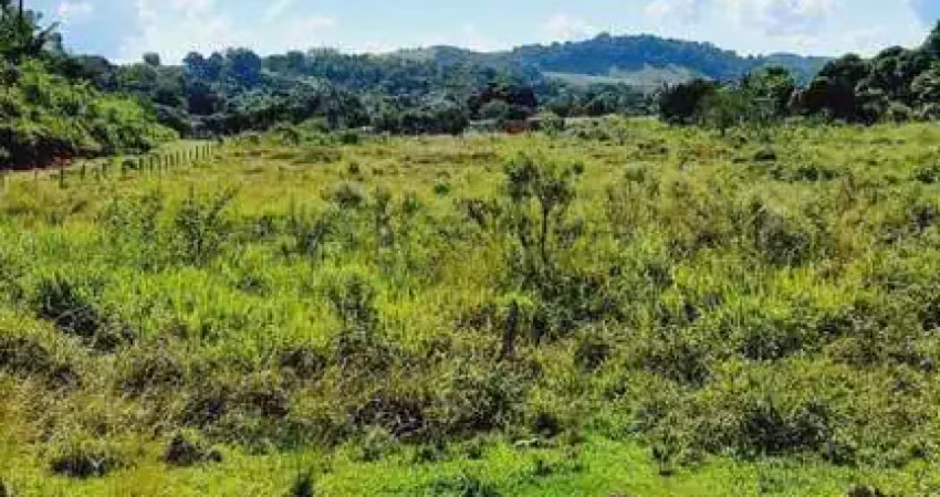 Fazenda para Venda em Rio Bonito, Sambé, 2 dormitórios, 1 banheiro