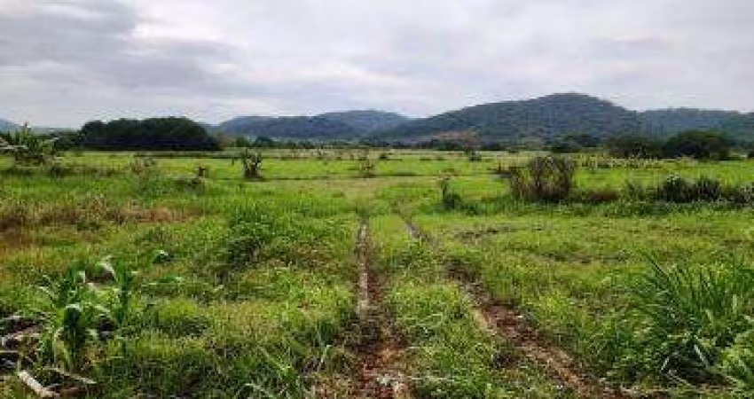 Sítio para Venda em Cachoeiras de Macacu, Cachoeira da Quizanga, 2 dormitórios, 1 banheiro, 1 vaga