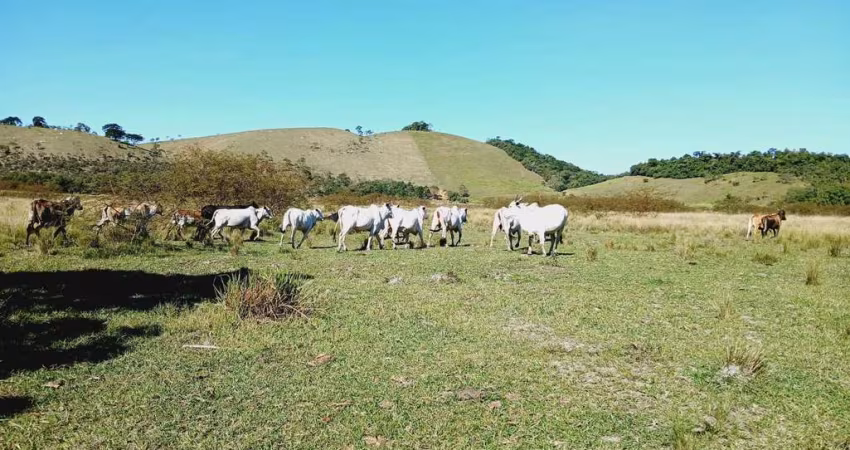 Fazenda para Venda em Silva Jardim, Imbaú, 3 dormitórios, 1 suíte, 1 banheiro, 1 vaga