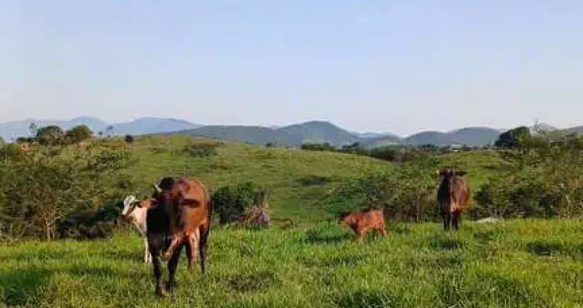 Sítio para Venda em Itaboraí, Picos, 3 dormitórios, 1 suíte, 2 banheiros, 3 vagas