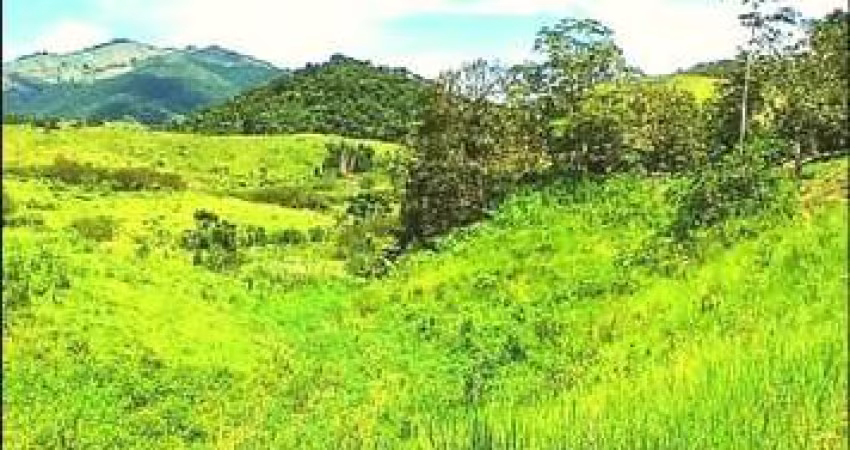 Fazenda para Venda em Rio Bonito, Braçanã, 2 dormitórios, 1 banheiro, 1 vaga