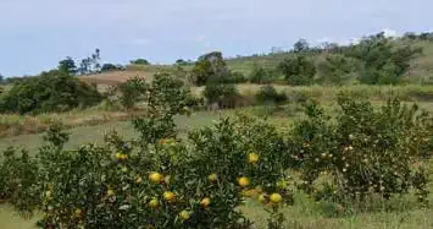 Sítio para venda em araruama, são vicente de paula, 3 dormitórios, 1 banheiro