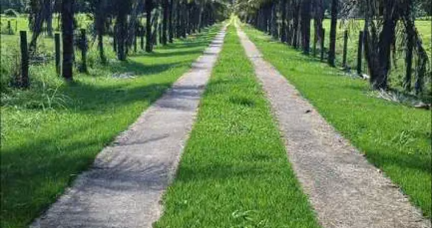 Fazenda para venda em silva jardim, boqueirão, 5 dormitórios, 2 banheiros, 2 vagas