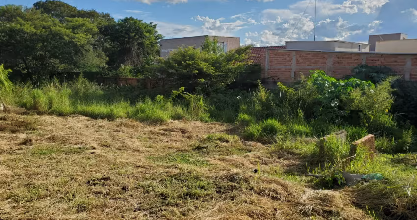 Terrenão de 689 metros em área valorizada, próximo à avenida movimentada, condomínios e vários comércios.