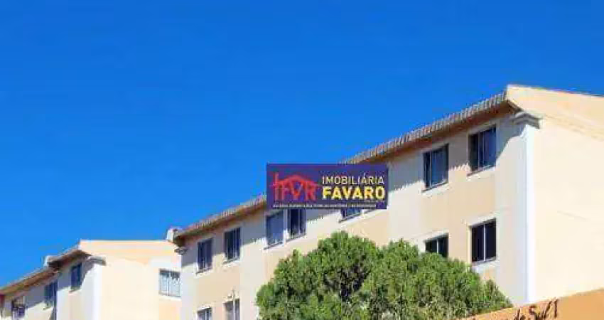 Apartamento com 3 dormitórios para alugar, 65 m² por r$ 900,00/mês - jardim das américas - londrina/pr