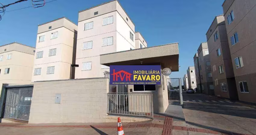 Apartamento com 2 dormitórios para alugar, 46 m² por r$ 900,00/mês - conjunto semiramis barros braga - londrina/pr