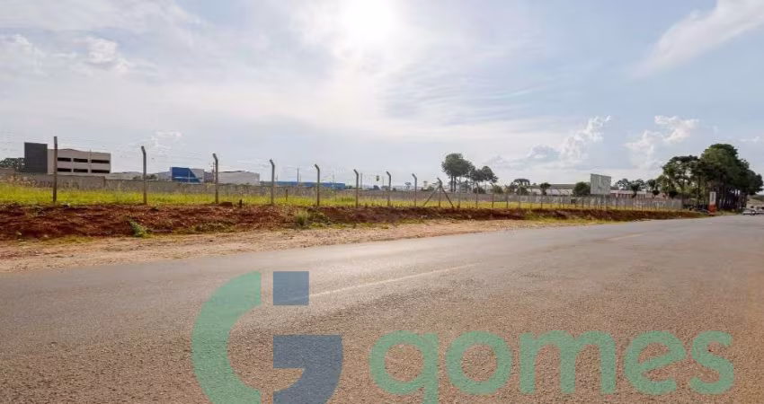 Terreno à venda, 8182 m² - Cidade Industrial de Curitiba - Curitiba/PR