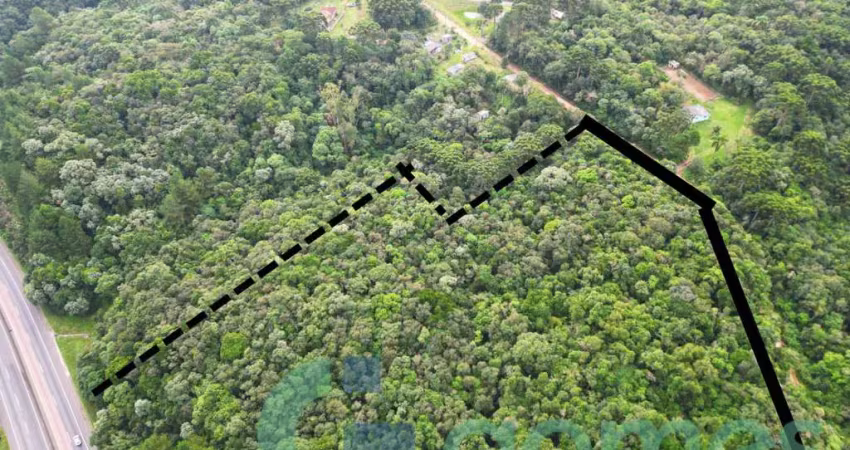 Terreno à venda, 27762 m² - campo alto - tijucas do sul/pr