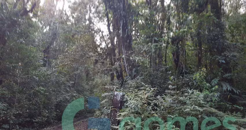 Terreno à venda, 27285 m² por r$ 380.000,00 - borda do campo - são josé dos pinhais/pr