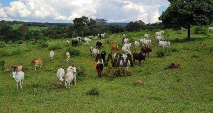 Fazenda à venda, 968000 m² por R$ 5.300.000,00 - Zona Rural Hidrolandia - Hidrolândia/GO