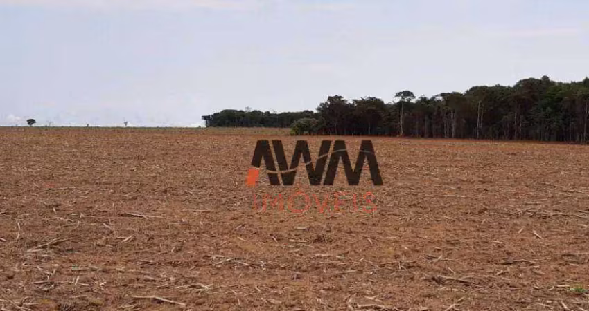 Fazenda à venda, 387200 m² por r$ 4.000.000,00 - zona rural - americano do brasil/go