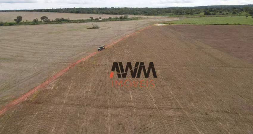 Fazenda à venda, 30008000 m² por r$ 85.000.000,00 - morada do sol - araguaína/to
