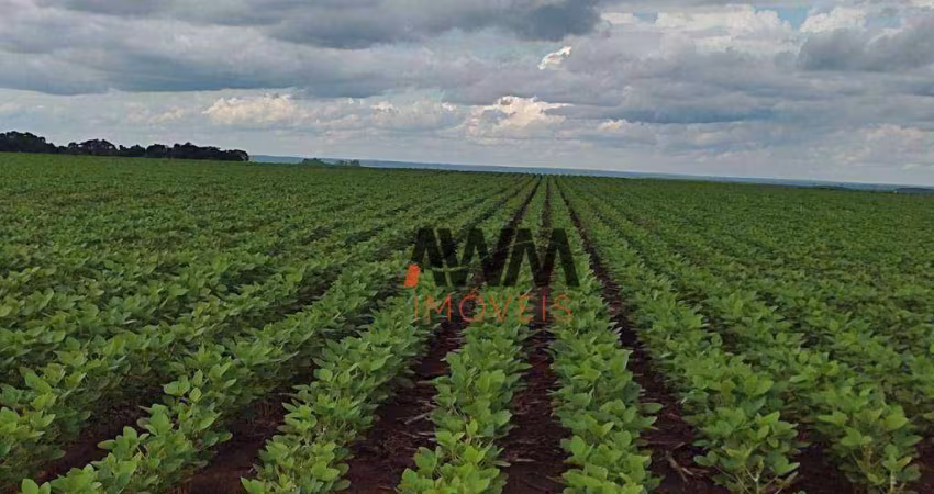 Fazenda à venda, 24829200 m² por R$ 61.560.000,00 - Zona Rural - Pedro Afonso/TO
