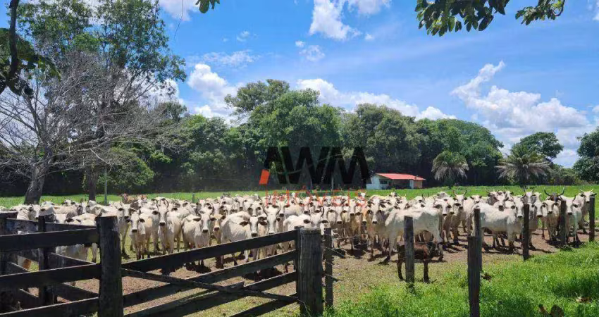 Fazenda à venda, 5234944 m² por r$ 8.652.800,00 - zona rural - cocalinho/mt