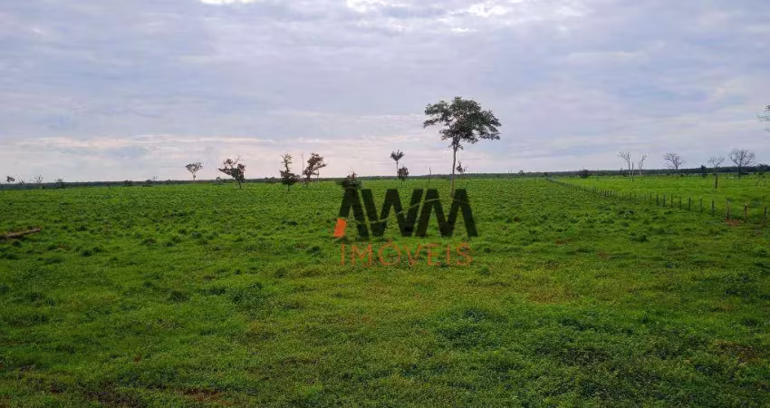 Fazenda à venda, 50820000 m² por r$ 157.500.000,00 - centro - caseara/to