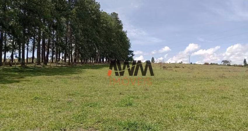 Fazenda 82 ha entre Taguatinga e Brazlândia à venda, por R$ 16.000.000 - Brazlândia/DF