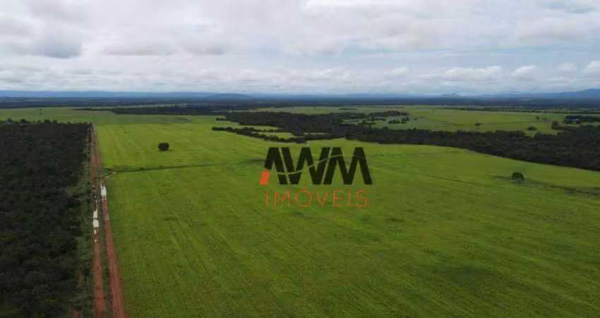 Fazenda à venda, 48400 hectares por r$ 120.000.000 - centro - formosa/go