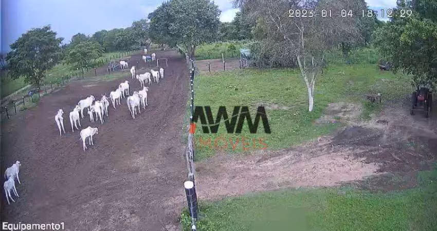 Fazenda à venda, 847.00 hectares por r$ 8.000.000 - zona rural - cocalinho/mt