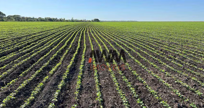 Fazenda à venda, 15.000 ha  por R$ 1.500.000.000 -  São José do Xingu/MT