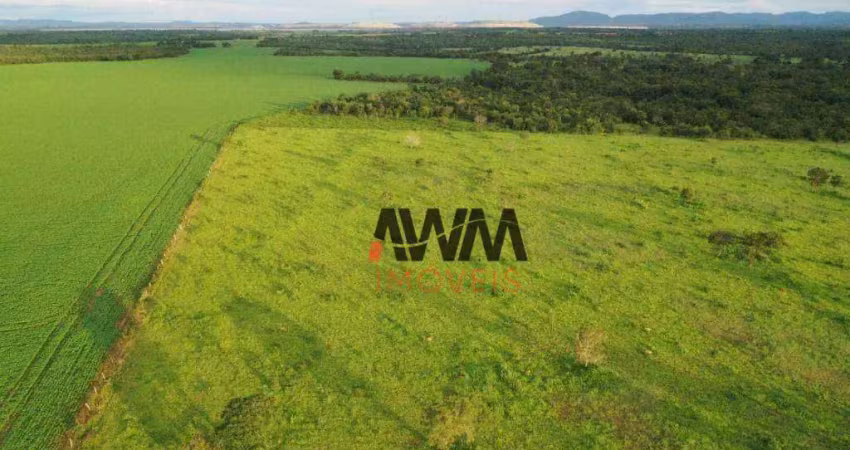 Fazenda à venda, 242,00 hectares por r$ 9.000.000 - zona rural - alto horizonte/go