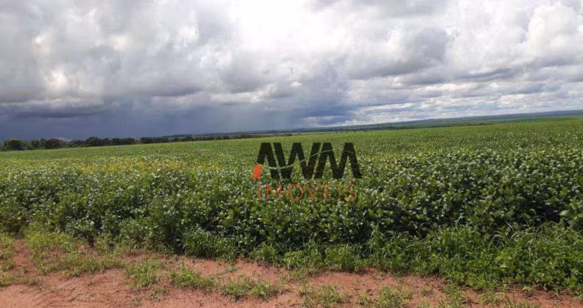 Fazenda à venda, 47730000 m² por R$ 300.000.000,00 - Centro - Nova Xavantina/MT