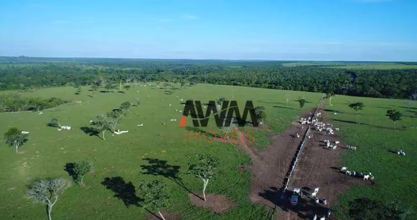 Fazenda à venda, 62800000 m² por r$ 120.000.000,00 - vila nova - paranatinga/mt
