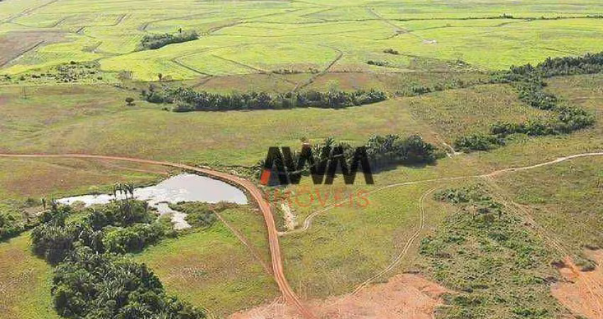 Fazenda à venda, 43560000 m² por R$ 135.000.000,00 - Centro - Ananás/TO