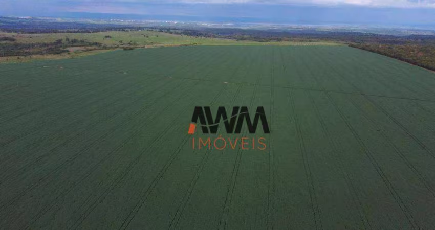 Fazenda à venda, 2200000 m² por R$ 14.000.000,00 - Zona Rural - Jaciara/MT