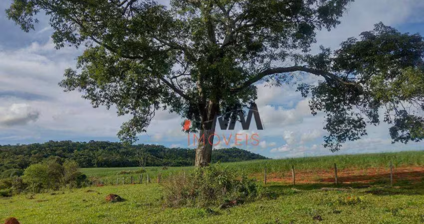 Fazenda à venda, 871200 m² por r$ 5.400.000,00 - vila olinda - anicuns/go