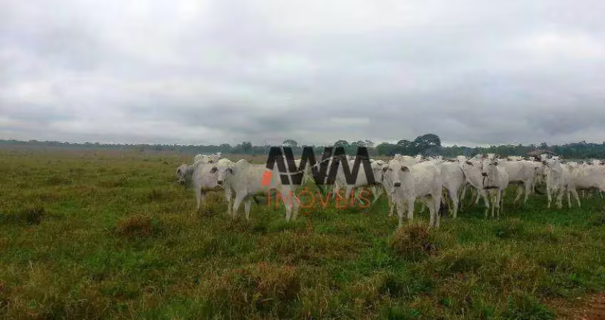 Fazenda à venda, 21000 m² por r$ 450.000.000,00 - novo diamantino - diamantino/mt