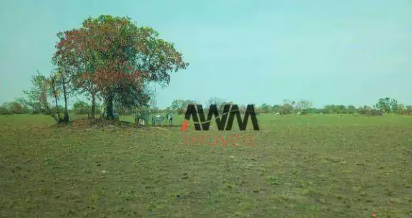 Fazenda à venda, 72000000 m² por r$ 18.000.000,00 - zona rural - alto boa vista/mt