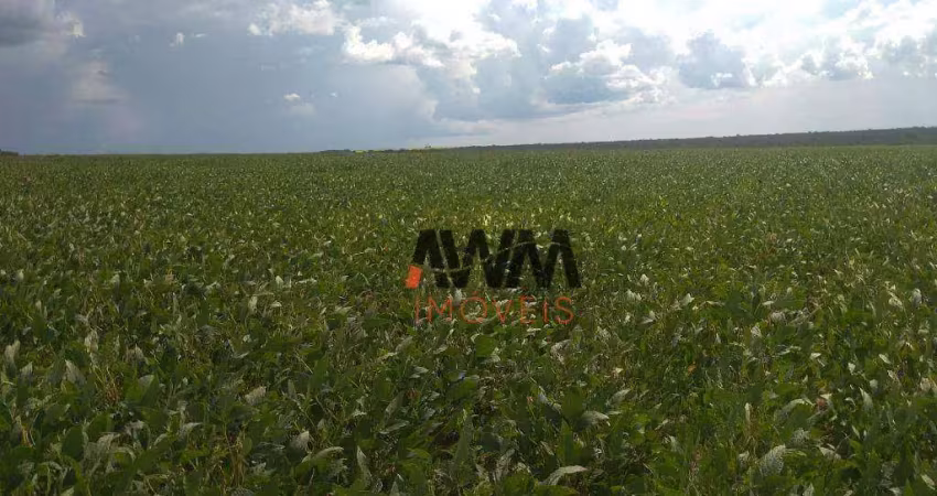 Fazenda à venda, 48450000 m² por r$ 122.000.000,00 - fazenda - paranatinga/mt