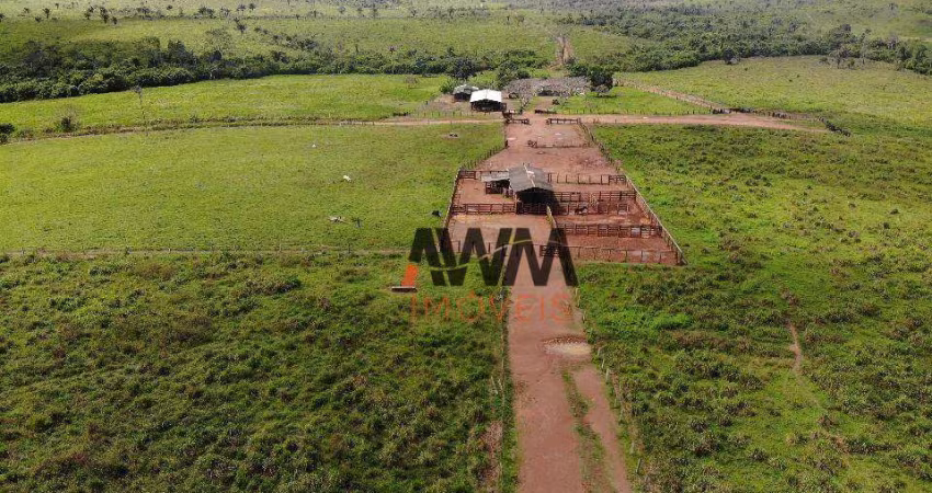 Fazenda à venda, 121000000 m² por R$ 325.000.000,00 - Centro - Cumaru do Norte/PA
