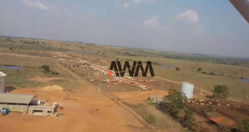Fazenda à venda, 118096000 m² por r$ 400.000.000,00 - santos dumont - redenção/pa