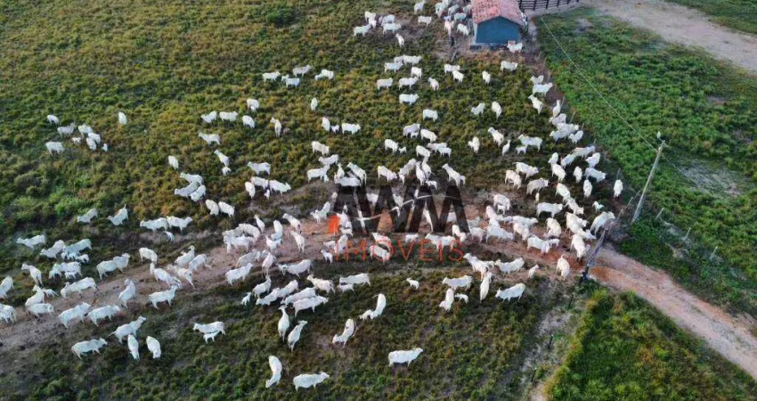 Fazenda à venda, 105028000 m² por r$ 330.000.000,00 - velha marabá - marabá/pa