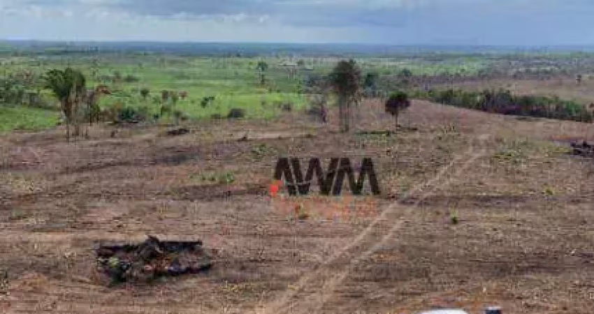 Fazenda à venda, 10406000 m² por r$ 27.000.000,00 - centro - goianésia do pará/pa