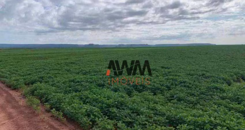 Fazenda à venda, 57520000 m² por r$ 160.000.000,00 - cajueiro - balsas/ma