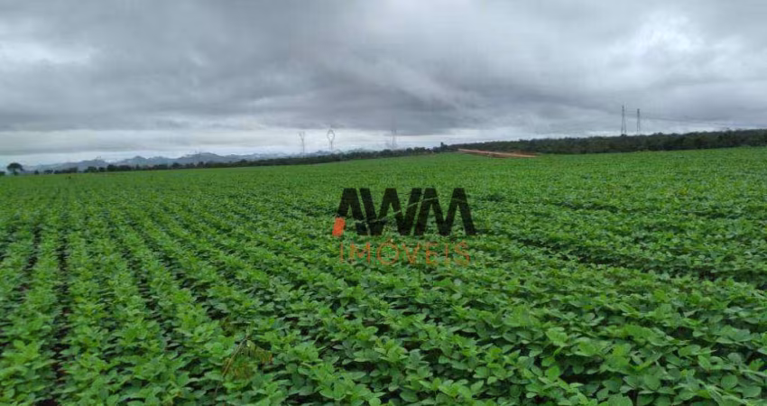 Fazenda à venda, 18972800 m² por R$ 40.000.000,00 - Centro - Niquelândia/GO