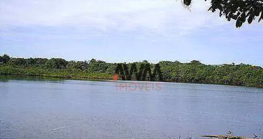 Fazenda à venda, 72600000 m² por r$ 30.000.000,00 - zona rural - alto boa vista/mt
