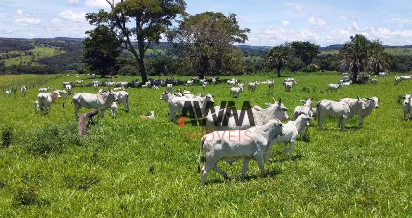 Fazenda à venda, 5008300 m² por r$ 55.000.000,00 - centro - leopoldo de bulhões/go