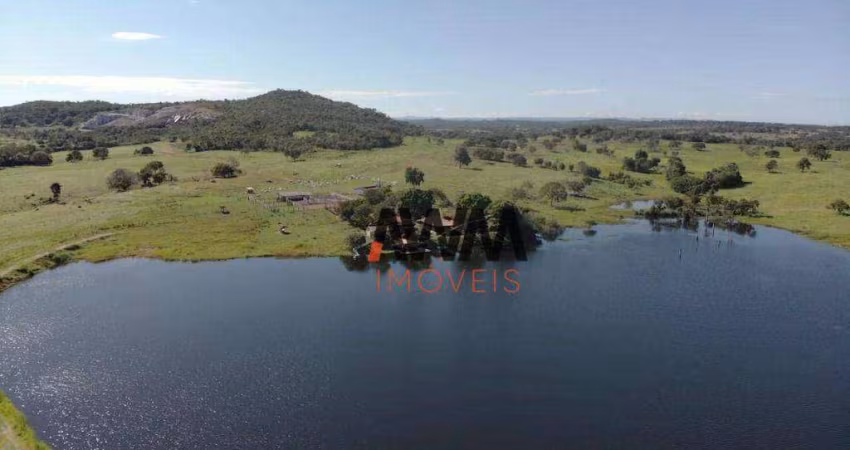 Fazenda 100 alq. margem da rodovia à venda, 4840000 m² por R$ 20.000.000 - Zona Rural - Araguapaz/GO
