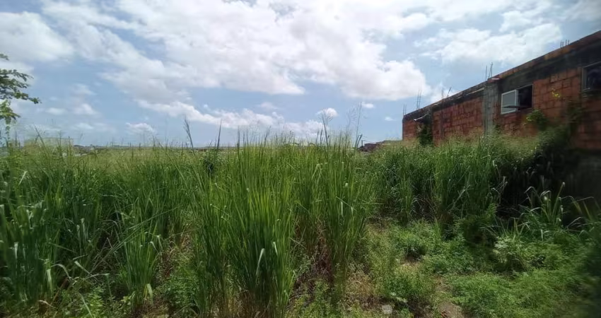 Terreno Urbano para Venda em Salvador, Águas Claras