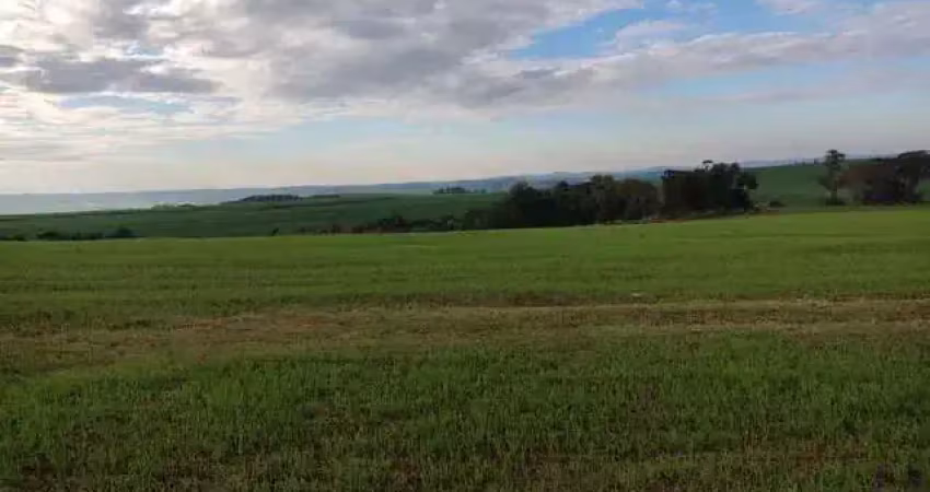 Chácara / sítio com 1 quarto à venda na zona rural, 1, Zona Rural, Tamarana