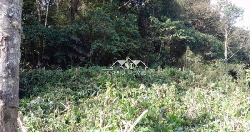 Terreno- Petrópolis, Centro