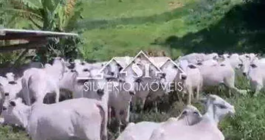 Fazenda à venda no Posse, Petrópolis 